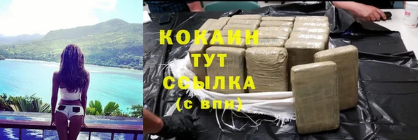 гидра Абаза