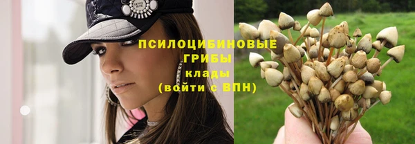 дурь Абинск