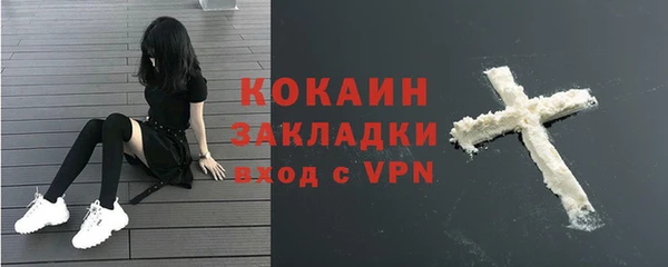 гидра Абаза